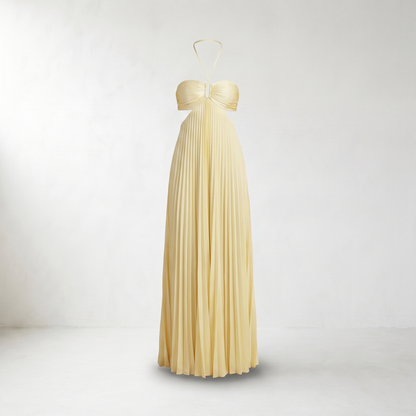 Pia Pleated Halter Maxi Dress