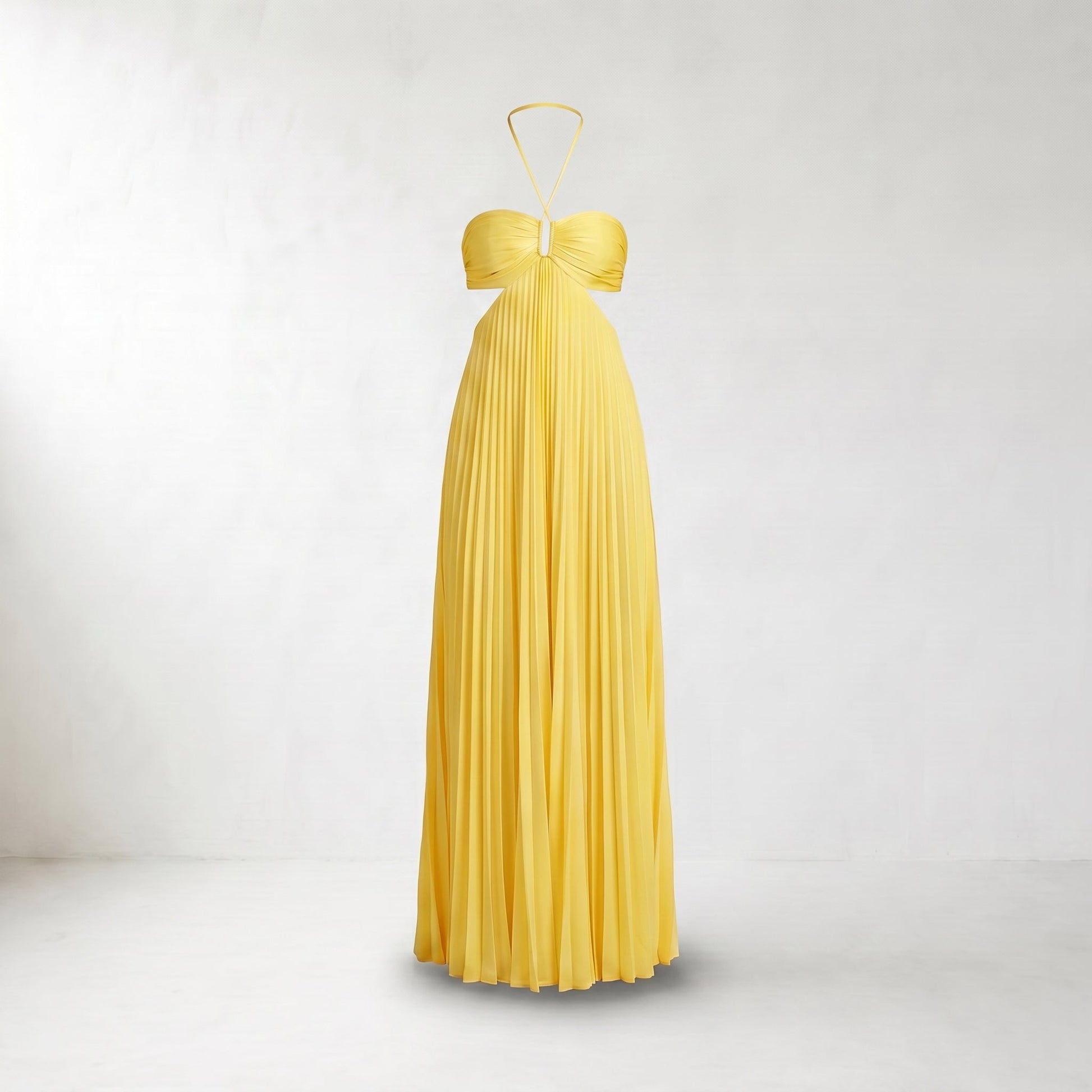 Pia Pleated Halter Maxi Dress